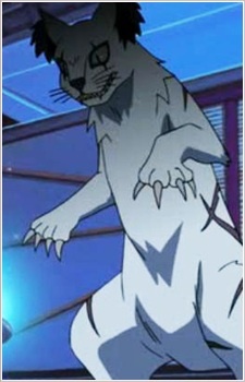 Нэкомата / Nekomata