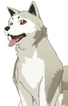 Коромару / Koromaru