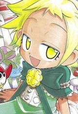 Kimidori