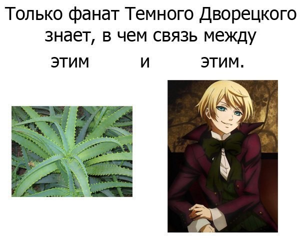 Прикол картинки темный дворецкий