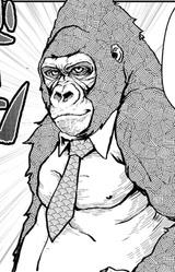 Gorilla Gorilla Gorilla