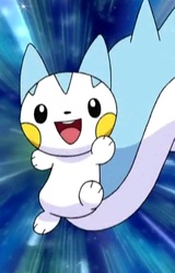 Pachirisu